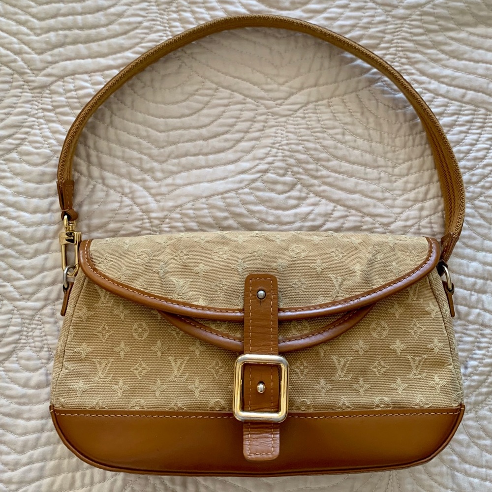 Louis Vuitton canvas bag